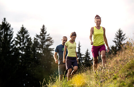Three hikers on the mountain