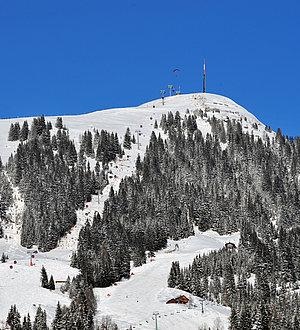 Skischule Kinder Das Hopfgarten